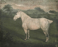 A White Horse by Anonymous