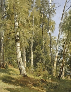 Birch Grove by Ivan Shishkin