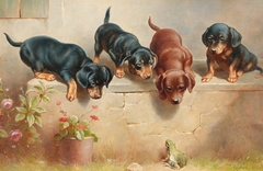 Curious dachshund puppies and a frog by Karl Reichert