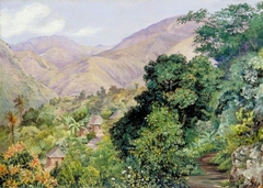 Distant View of Newcastle, Jamaica by Marianne North