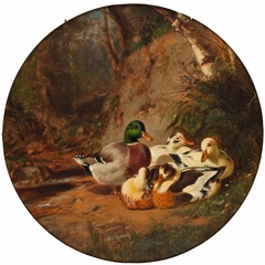 Ducks in a Wood by James McDougal Hart