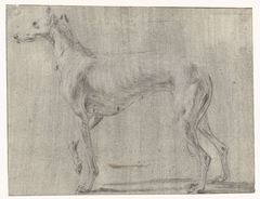 Een staande hond, van opzij gezien by Frans Snijders