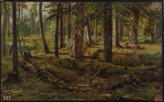Forest study by Ivan Shishkin