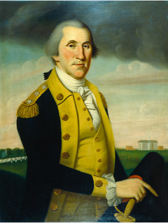 General Washington at Princeton by Charles Peale Polk