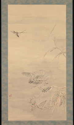 Hawk Grasping a Small Bird by Tsubaki Chinzan