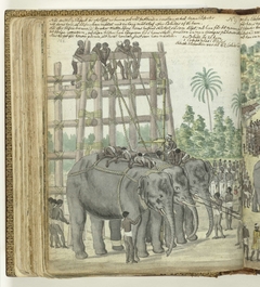 Inbinden van olifanten by Jan Brandes
