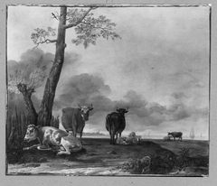 Kühe und Schafe auf der Weide