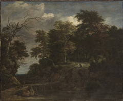 Landscape of a Forest with a Wooden Bridge