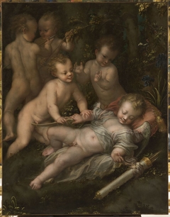Le Sommeil de Cupidon by Girolamo Mazzola Bedoli