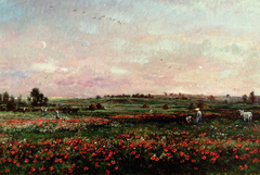 Les champs au mois de juin by Charles-François Daubigny