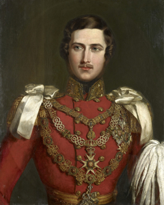 Prince Albert (1819-61) by John Partridge