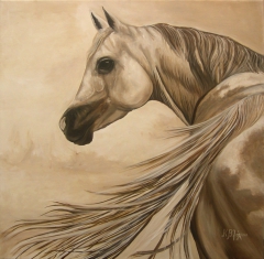 Proud Horse by Katerina Vlahou