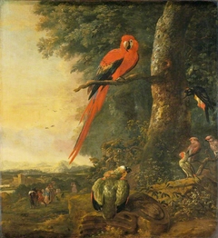 Red Macaw with Other Birds by Willem Hendrik Wilhelmus van Royen