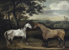 'Rose', a Grey Mare  and a Portuguese Hunter by Thomas Weaver