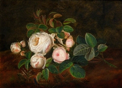 Still Life of Roses by French School