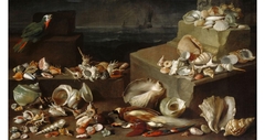Stillleben mit Meeresschnecken und Muscheln by Jan Davidsz. de Heem