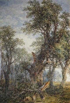 The Broken Bough by Frederick Henry Henshaw