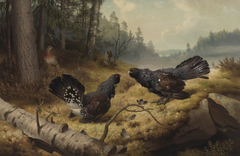The Fighting Capercaillies by Ferdinand von Wright