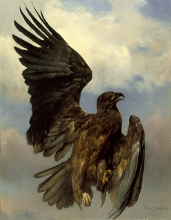 The Wounded Eagle
