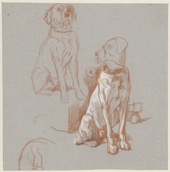 Twee studies van een zittende hond by Guillaume Anne van der Brugghen