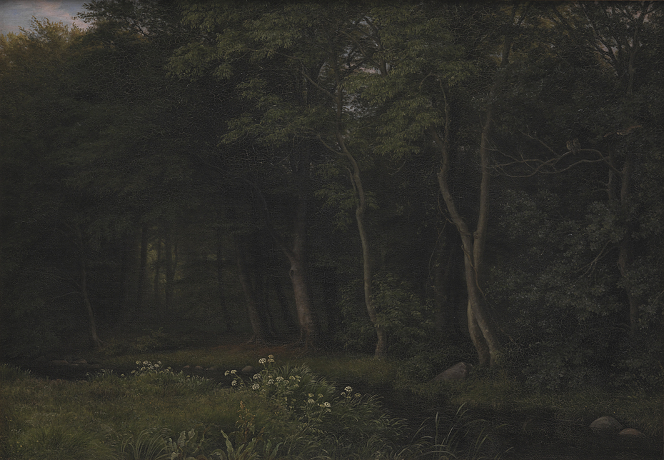 Twilight Setting in a Wood near Iselingen Manor, Zealand