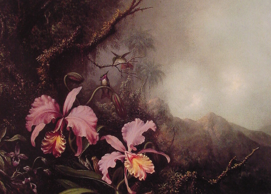 Two Orchids in a Mountain Landscape