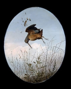 Woodcock by Thomas Hewes Hinckley