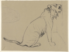 Zittende leeuw by Guillaume Anne van der Brugghen