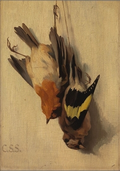 A Goldfinch and a Robin by Cornelis Samuel Stortenbeker
