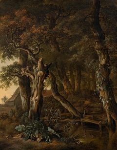 A wooded landscape with a fallen tree trunk, thistle and a farm beyond by Jan Wijnants
