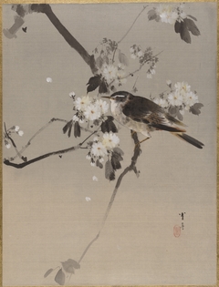 Birds on a Flowering Branch