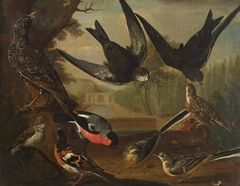 British Birds (Cock Starling, Pair of Wagtails, Cock Bramble Finch, Cock Bullfinch, Cock Beam Bird and Pair of Swifts and a Cock Grasshopper Lark) by Charles Collins