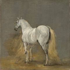 Cheval blanc by Adam Frans van der Meulen
