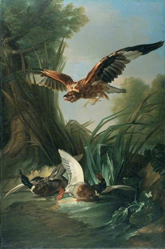 Hawk Attacking Wild Duck by Jacques Charles Oudry