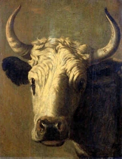 Head of a Cow by Dirck Govertsz