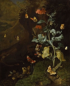 Insects and a lizard in a wood by Rachel Ruysch