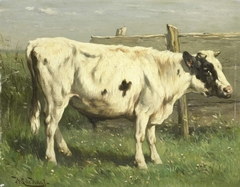 Jonge stier by Johannes Hubertus Leonardus de Haas