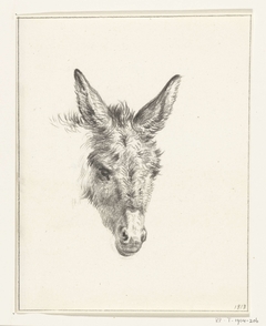 Kop van een ezel, van voren by Jean Bernard