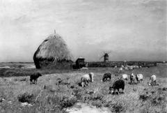 Landscape near Cayenz with a Sheepdog and Flock