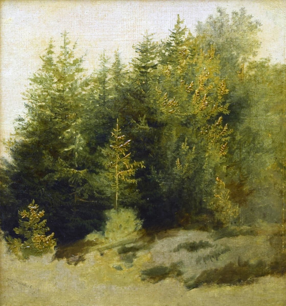 Landscape, Study in Oil