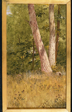 Landscape with Two Trees