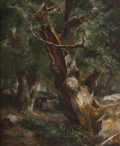 Le Chêne au dolmen dans la forêt de Brocéliande