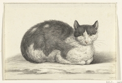 Liggende kat, naar rechts by Jean Bernard