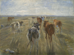 Long Shadows. Cattle on the Island of Saltholm by Theodor Philipsen