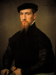 Portrait de Simon Renard, ambassadeur de Charles Quint et Philippe II d'Espagne by Antonis Mor