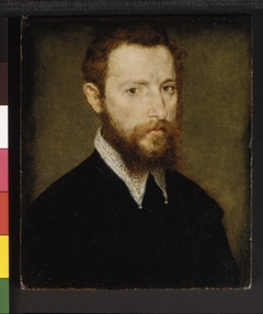 Portrait of a Man with a Pointed Collar