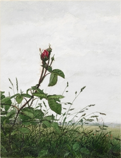 Rose and Grasses by Léon Bonvin