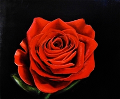 rose by Maria Alexandri