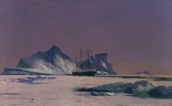 Scene in the Arctic