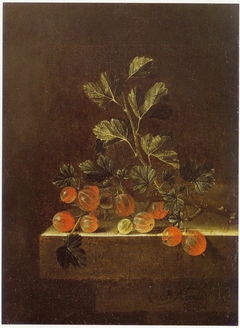 Still life with a spray of gooseberries by Adriaen Coorte